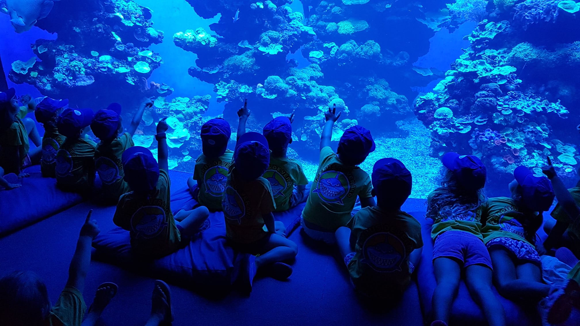 Palma Aquarium, Planetarium, navidad, acuario, actividades en familia